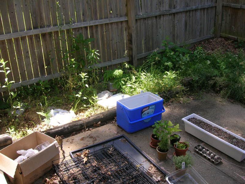 Yard002-1.jpg