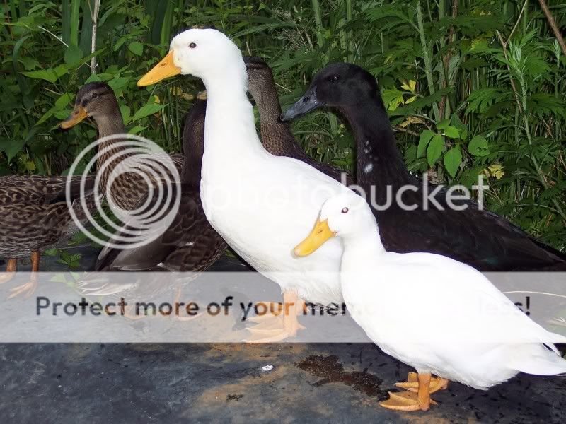 100_7182.jpg