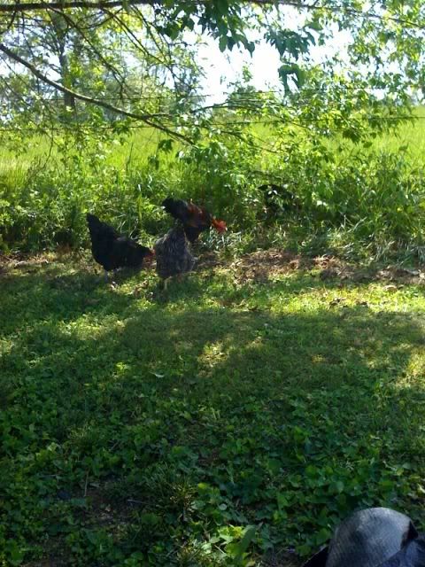 photo-160.jpg