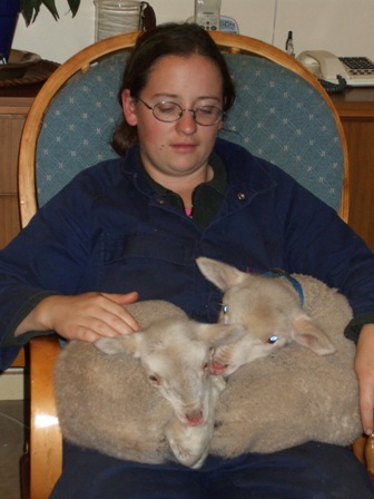 9-05-08_Goats_114.jpg