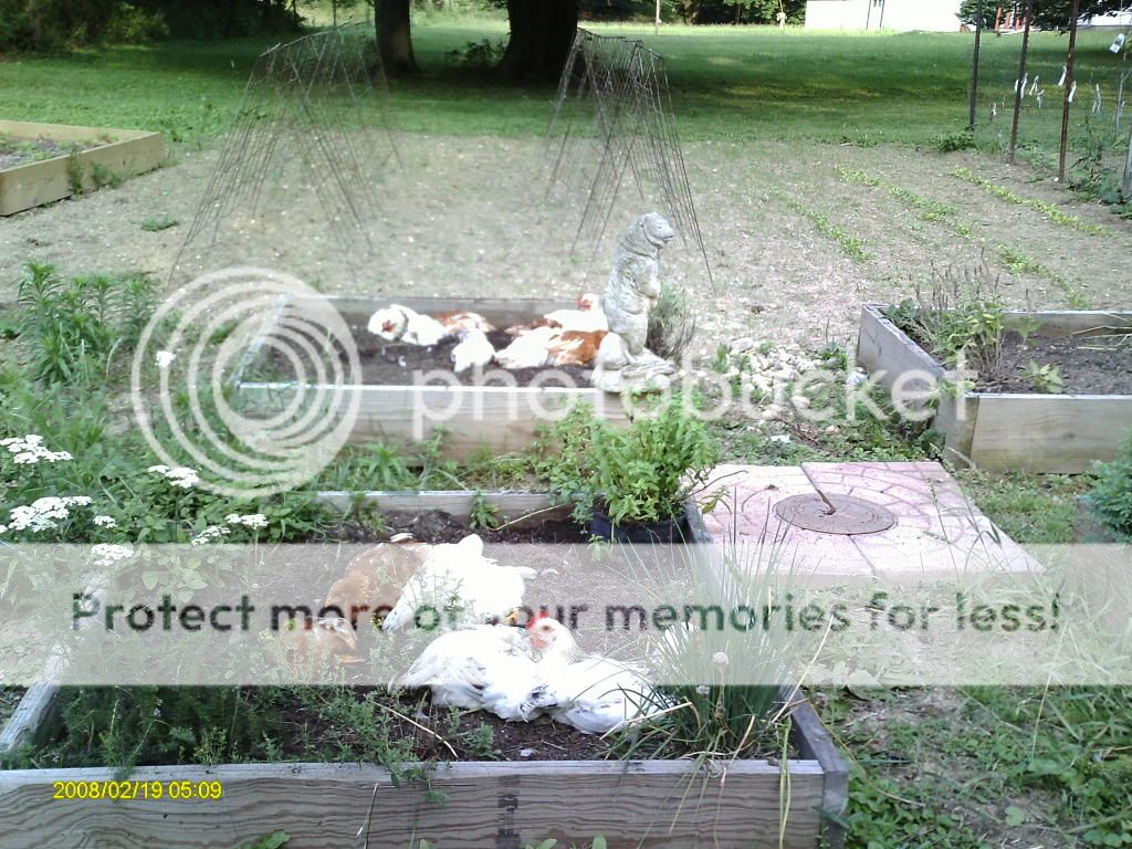 NewPhotos068.jpg