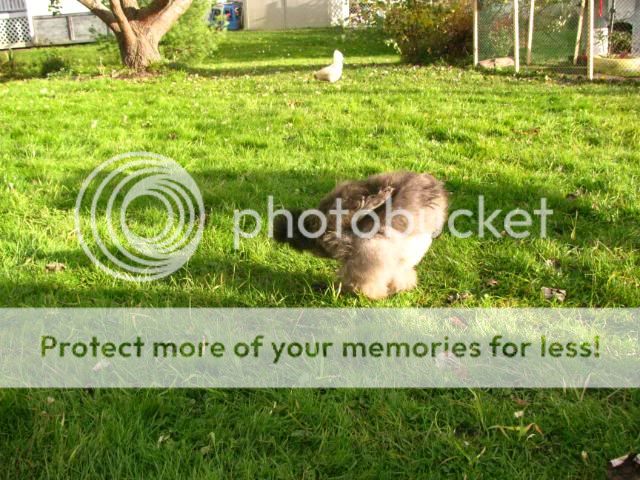 IMG_0516.jpg