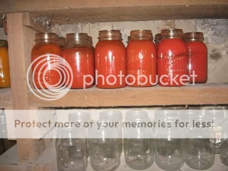redtomatojuice.jpg