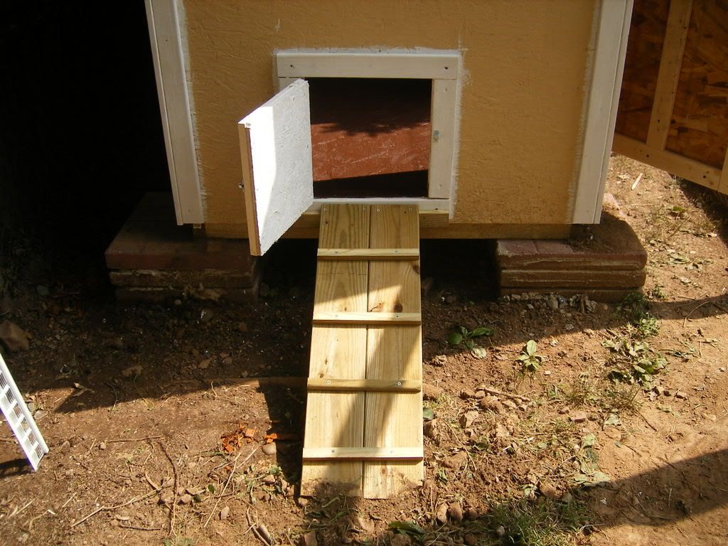 DSCF4209.jpg