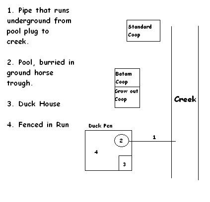 DuckCoop.jpg