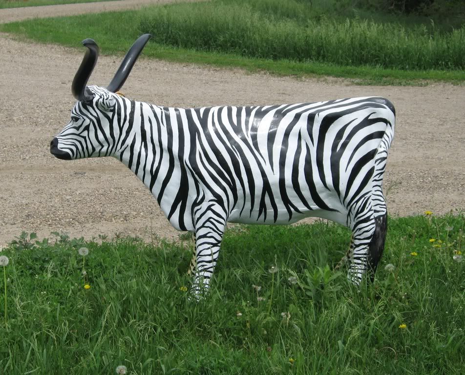 azebche1.jpg
