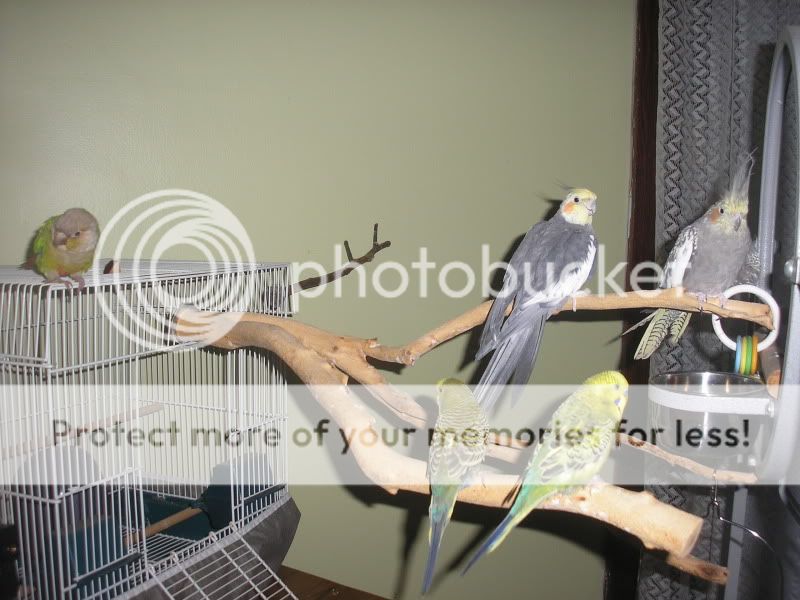 P1010051-2.jpg