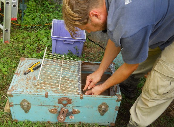 20121003chickencarrierdiy.JPG