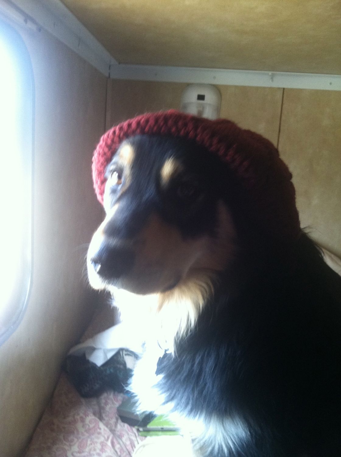 aef7ea51_IMG_3983.jpeg