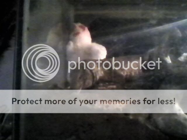 100408_141100.jpg