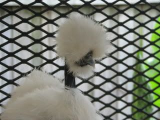 IMG_8935.jpg
