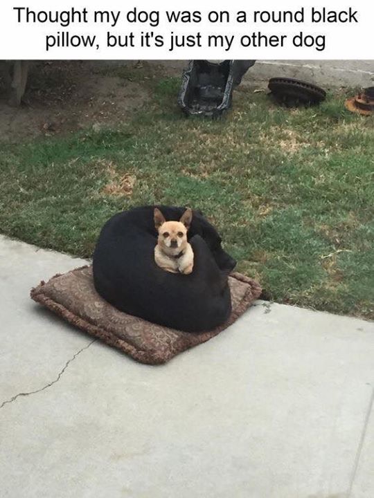 vszpSnr.jpg