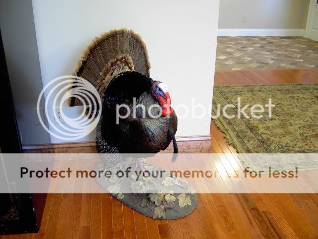 Thanksgiving012.jpg