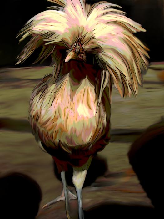 polish-chicken-3-karen-sheltrown.jpg