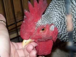 Picture032.jpg
