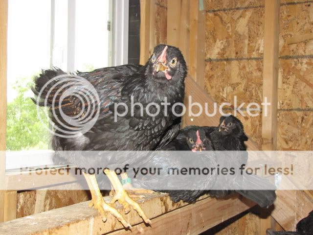 IMG_3792.jpg