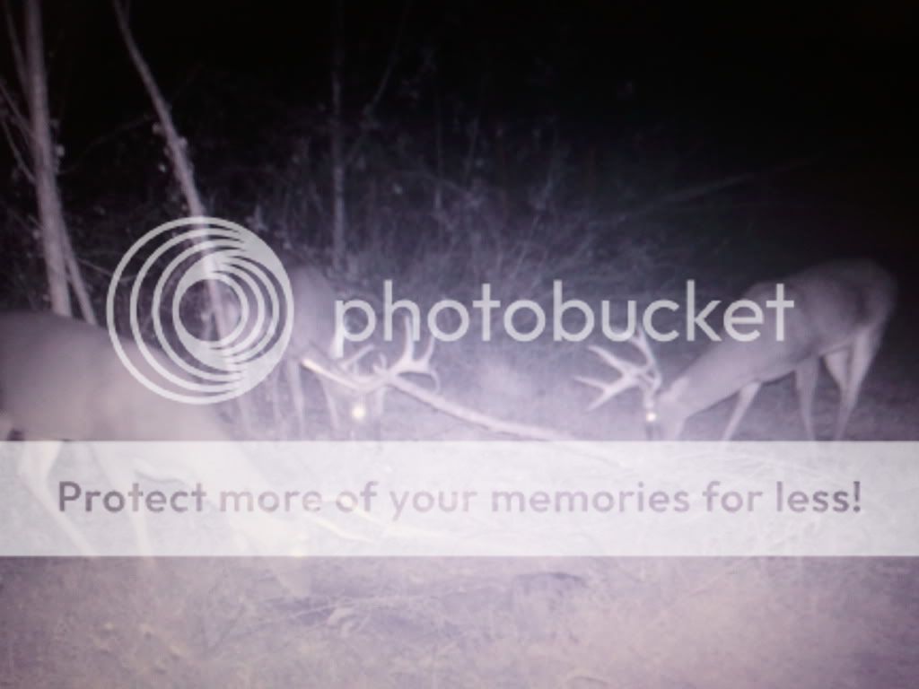 2010-11-05180852.jpg
