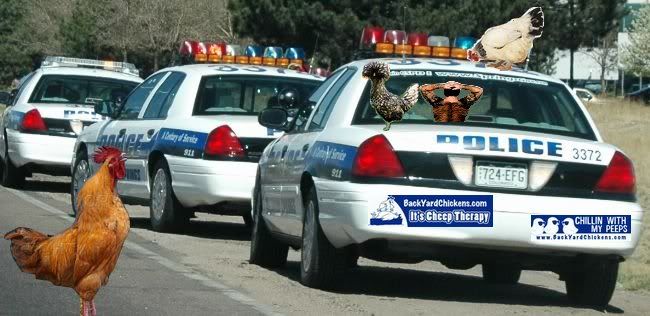 byccopcar2.jpg