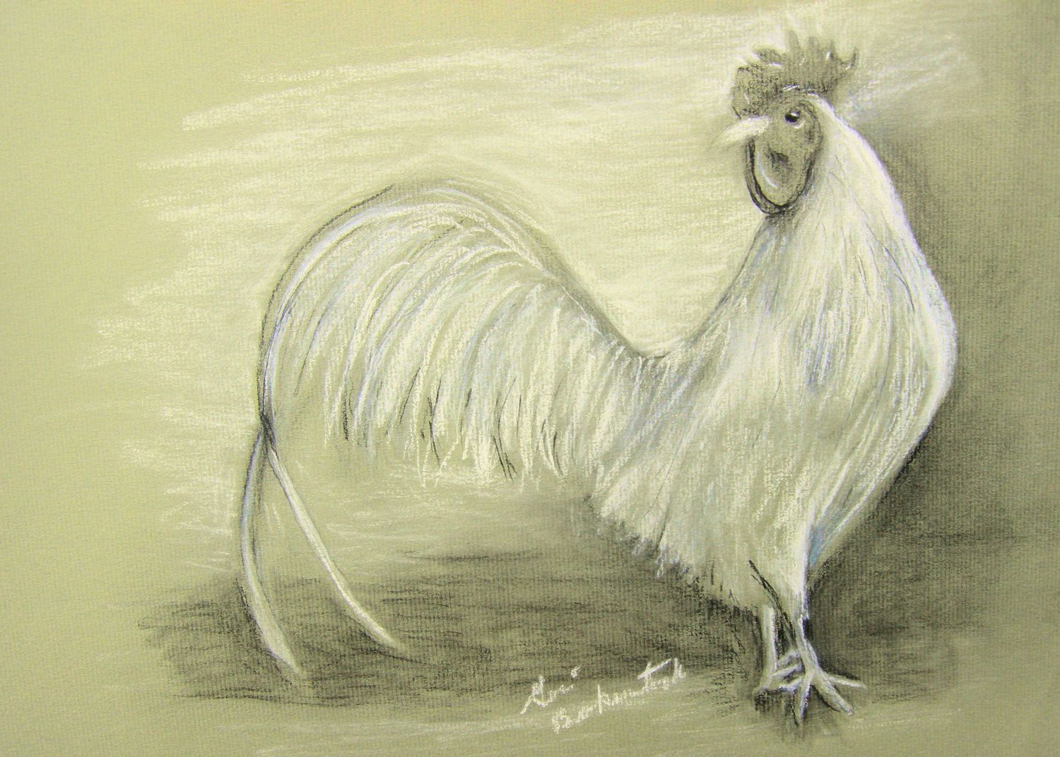 680x680px-LL-ebafbbb6_leghorn.jpeg
