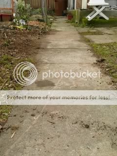 Mainwalkwaybefore.jpg