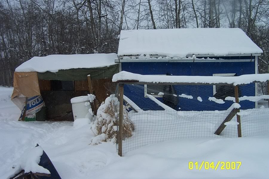 ChickenBarn.jpg