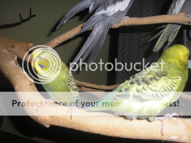 P1010054-1.jpg