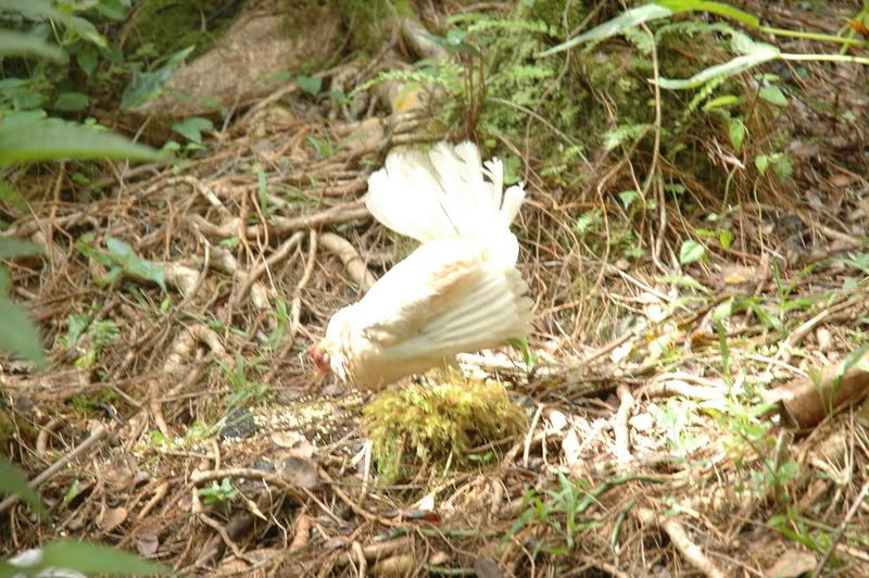 DSC_1014.jpg