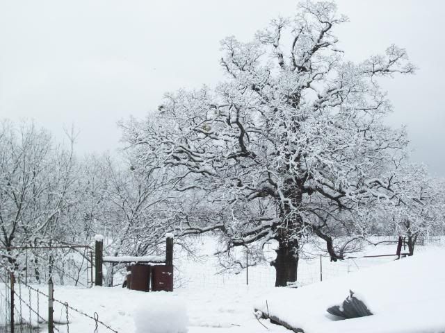 100_0096.jpg