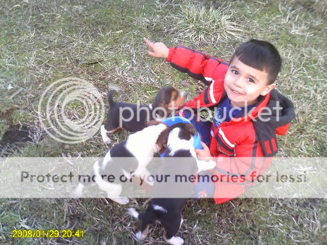 Picture011.jpg