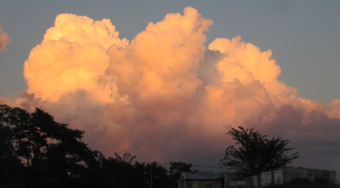 SDownhen080708.jpg