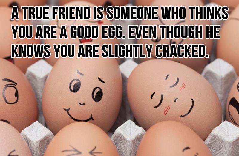 friendship-quotes-best.jpg