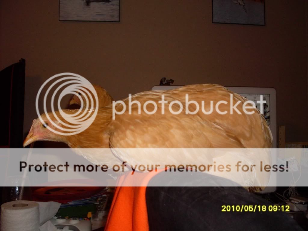 SDC11048.jpg