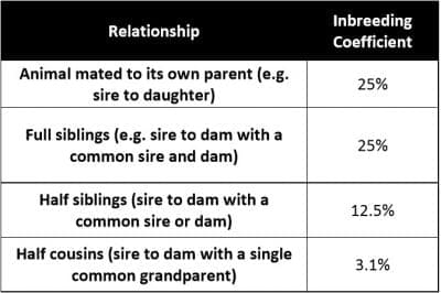 Inbreed-1-400x266.jpg