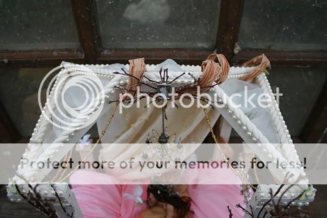 ContestPictures006.jpg