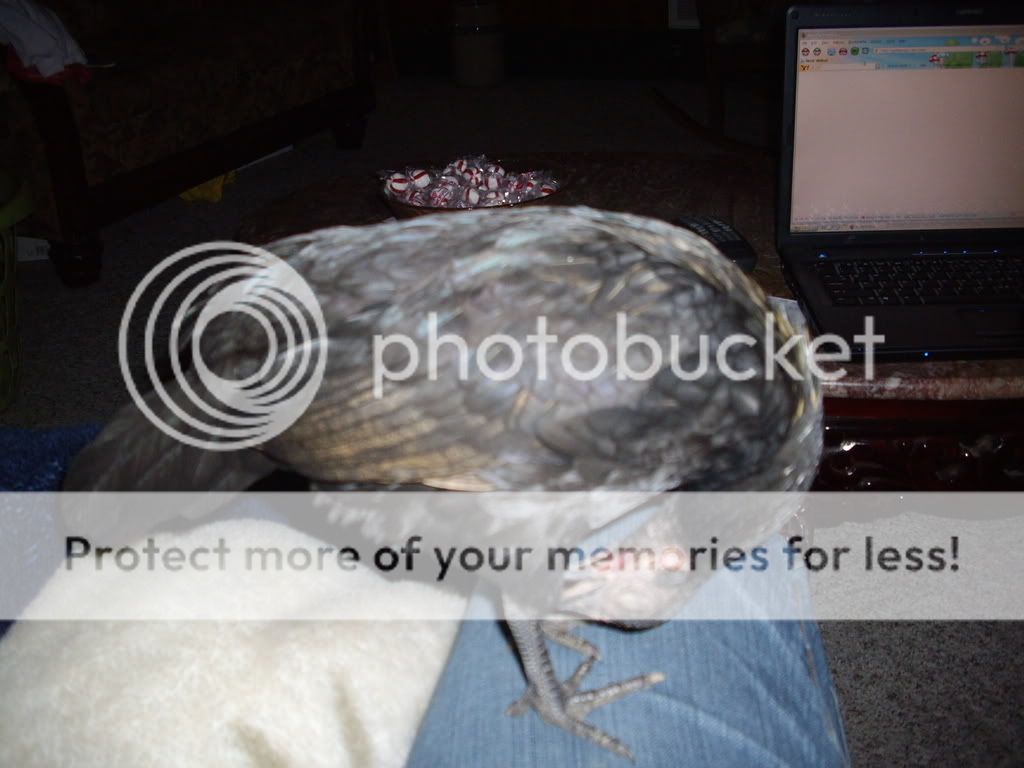 IMGP1837.jpg