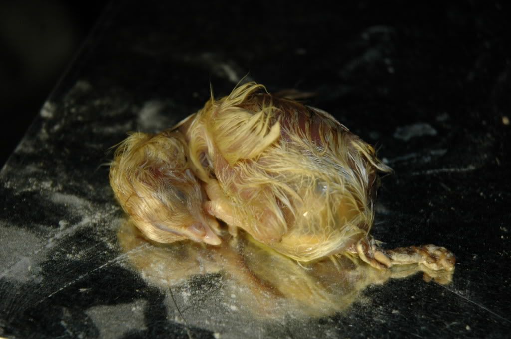 DSC_3641.jpg