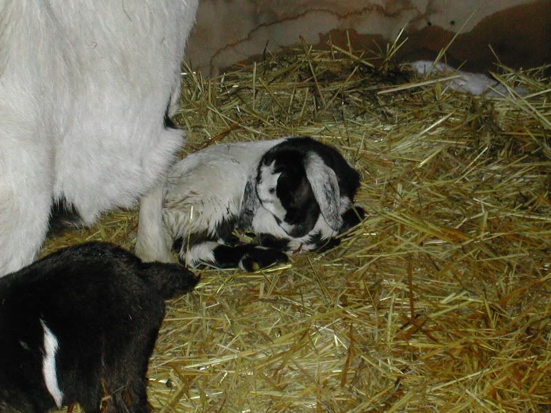 DSCN5119.jpg