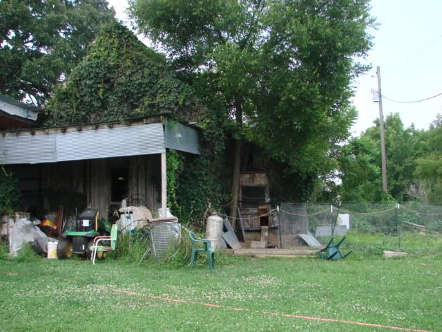 DSC01772.jpg