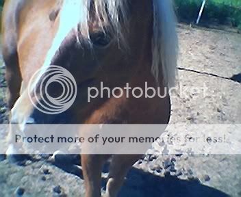 843d63f9.jpg