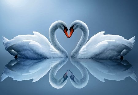 1209608-bigthumbnail.jpg