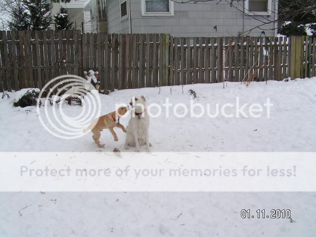 PICT2747.jpg