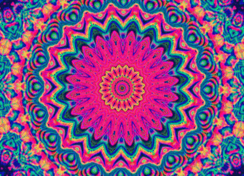 tumblr_o4410lh6vr1v9fhzqo1_500.gif