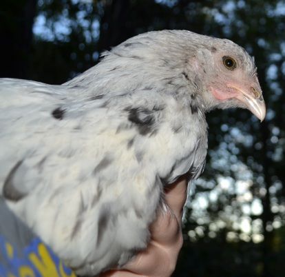 frou-frou3monthlovey.jpg