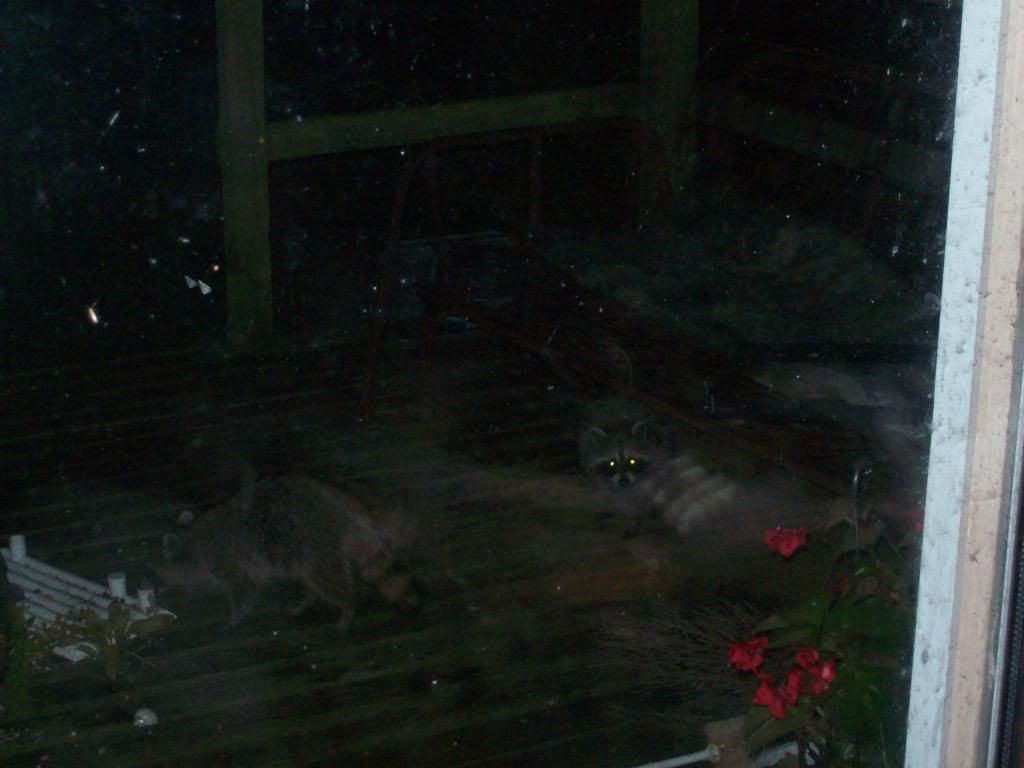 107_1819.jpg