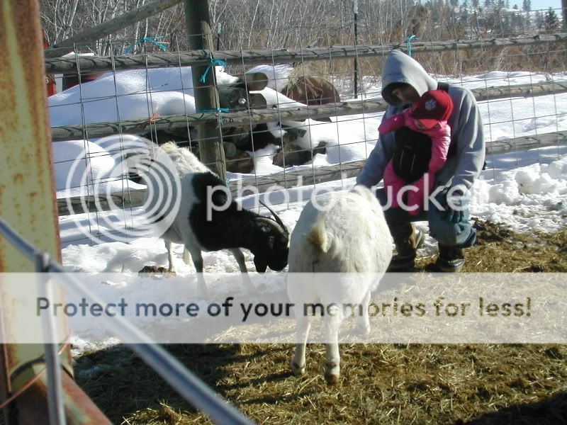 DSCN5918.jpg