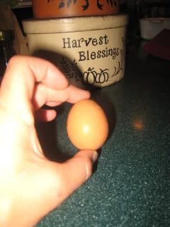 Chickens005.jpg