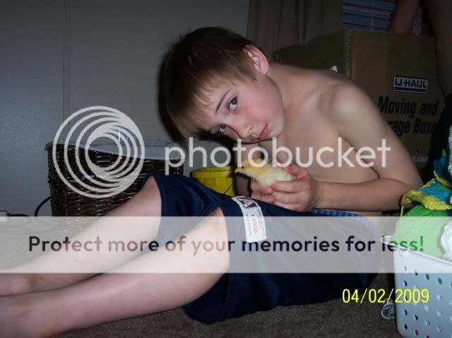 100_1393.jpg