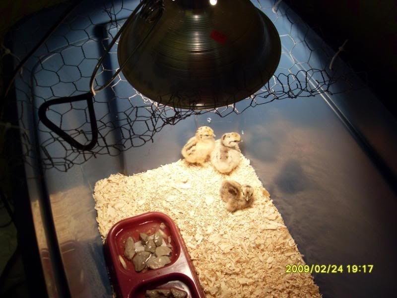 SDC11846.jpg