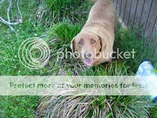 DSCN3421.jpg