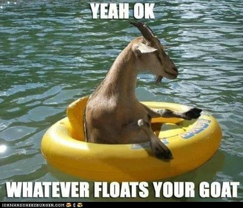 floatyourgoatpun.jpeg